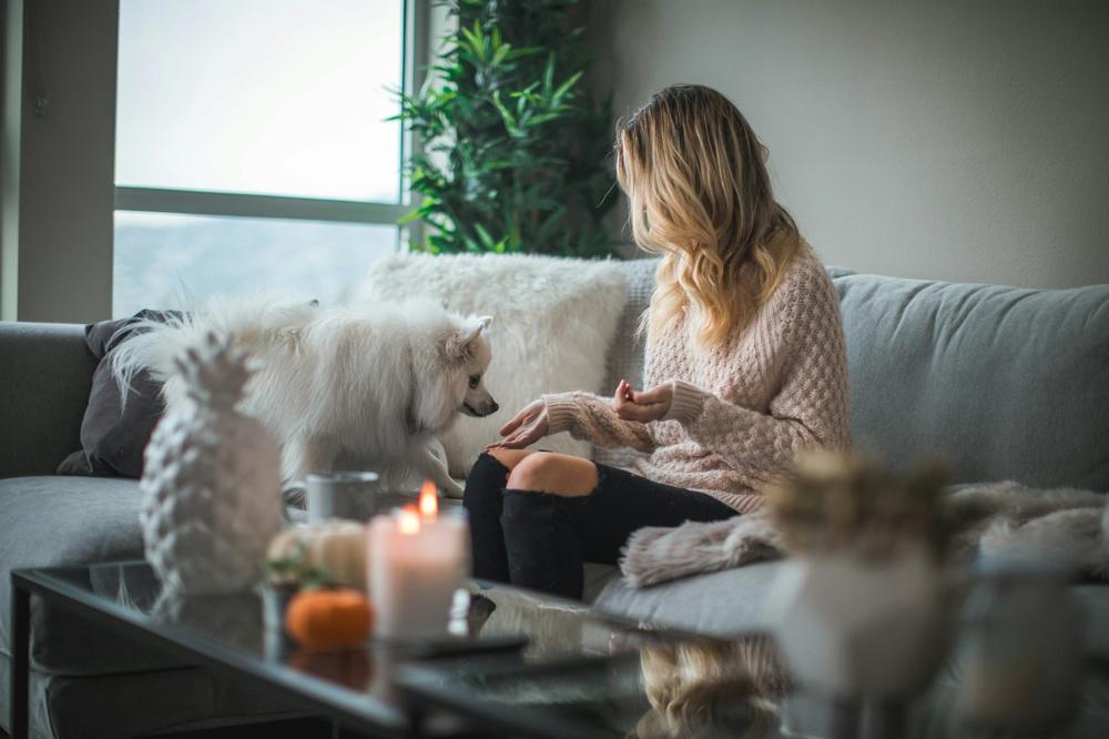 A pet parent remembering a beloved companion outdoors