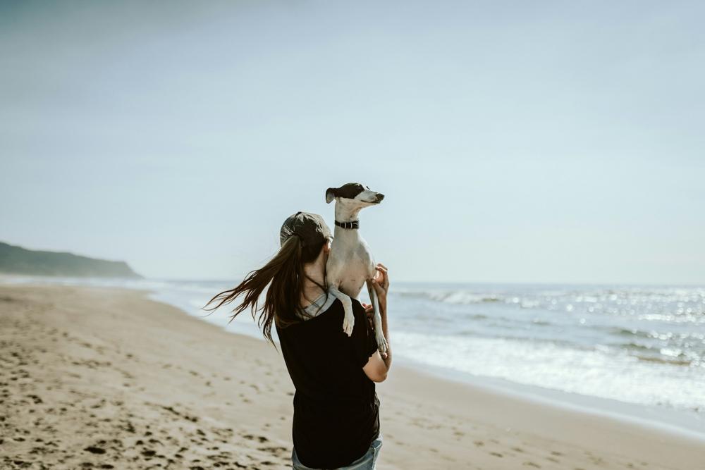 A senior dog leaning into its owner