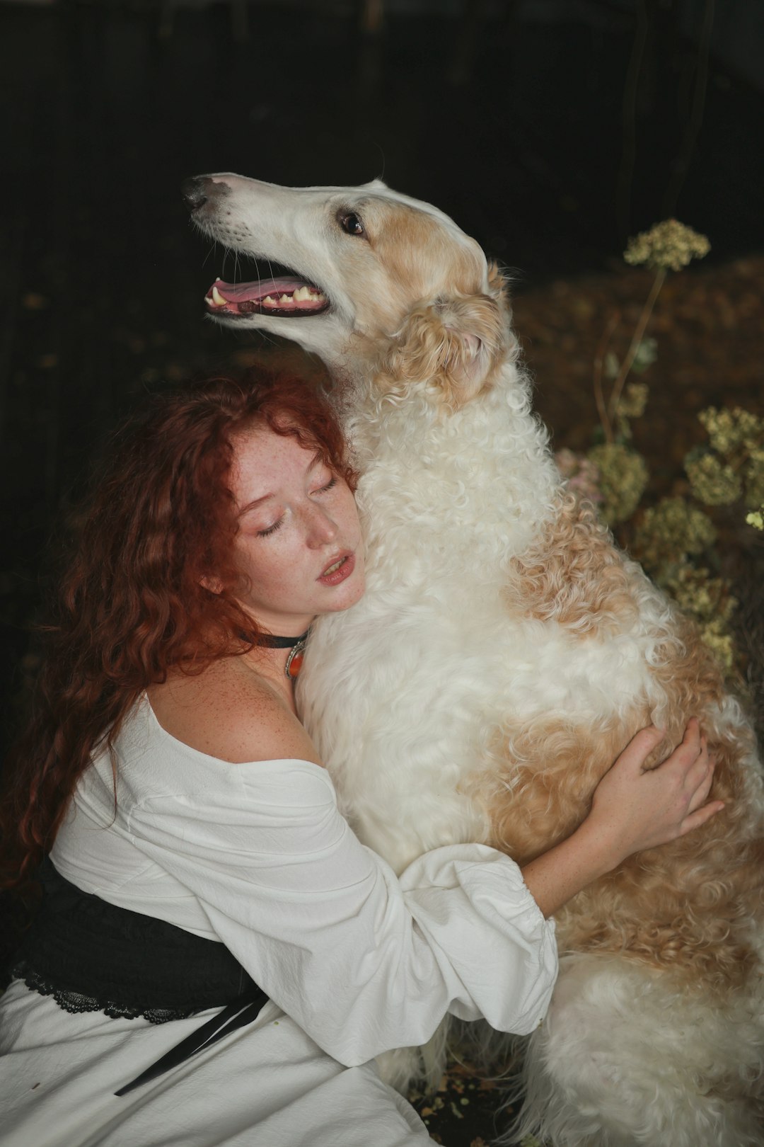 Muscle Loss in Senior Dogs: What Owners Often Mistake for Simple Weight Loss